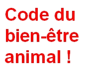 Code BEA