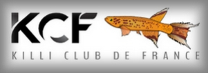 KCF2