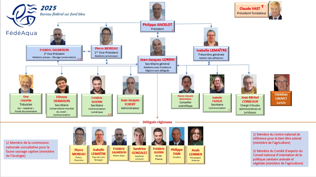 Organigramme