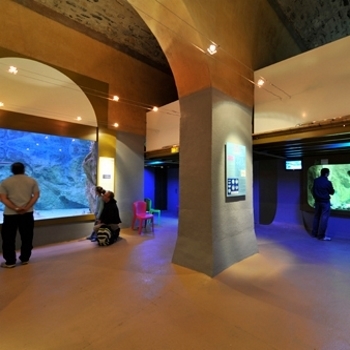 AquariumLimousin