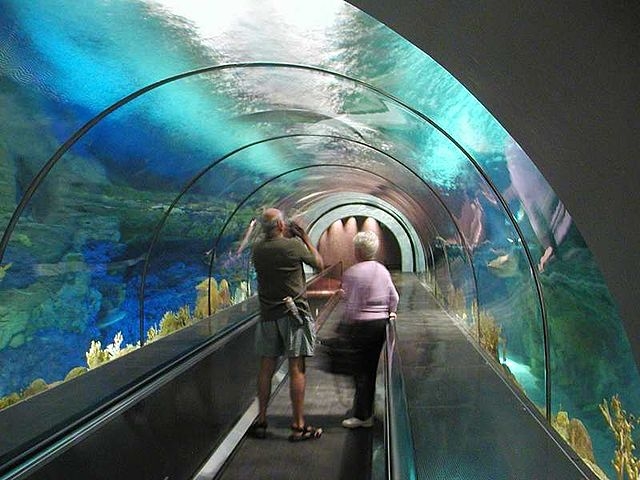 Tunnel