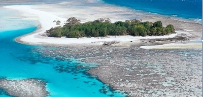 Recif corail