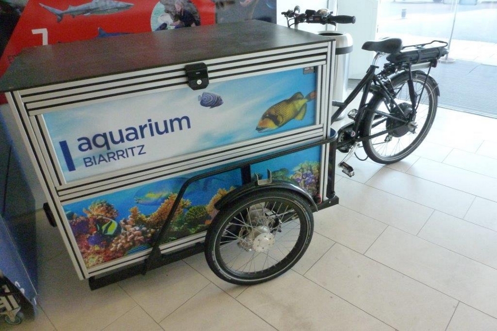 Biarritz tricycle