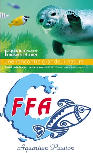 FFA Biarritz