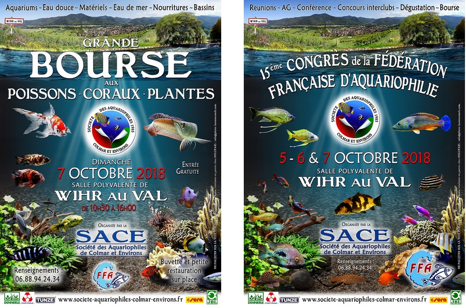Affiches congres2
