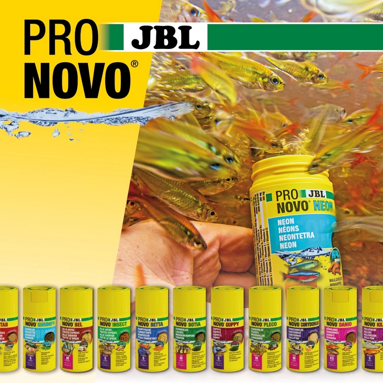 JBL Pronovo