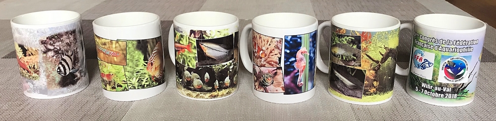 Mug7