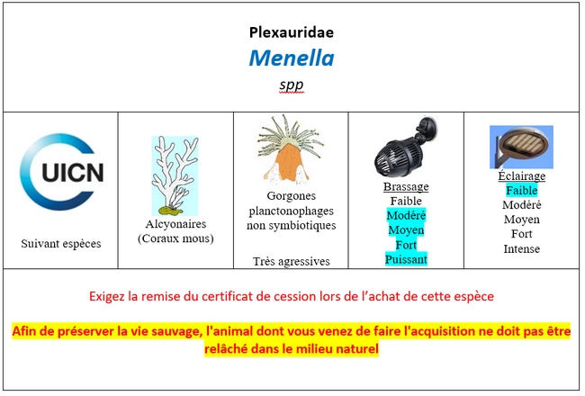 Menella