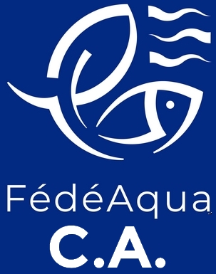 LogoCA