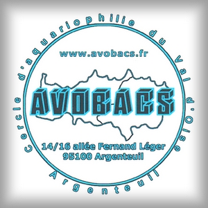 Avobacs