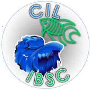 CIL