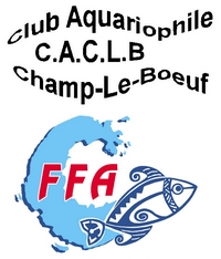 Logo CLB FFA