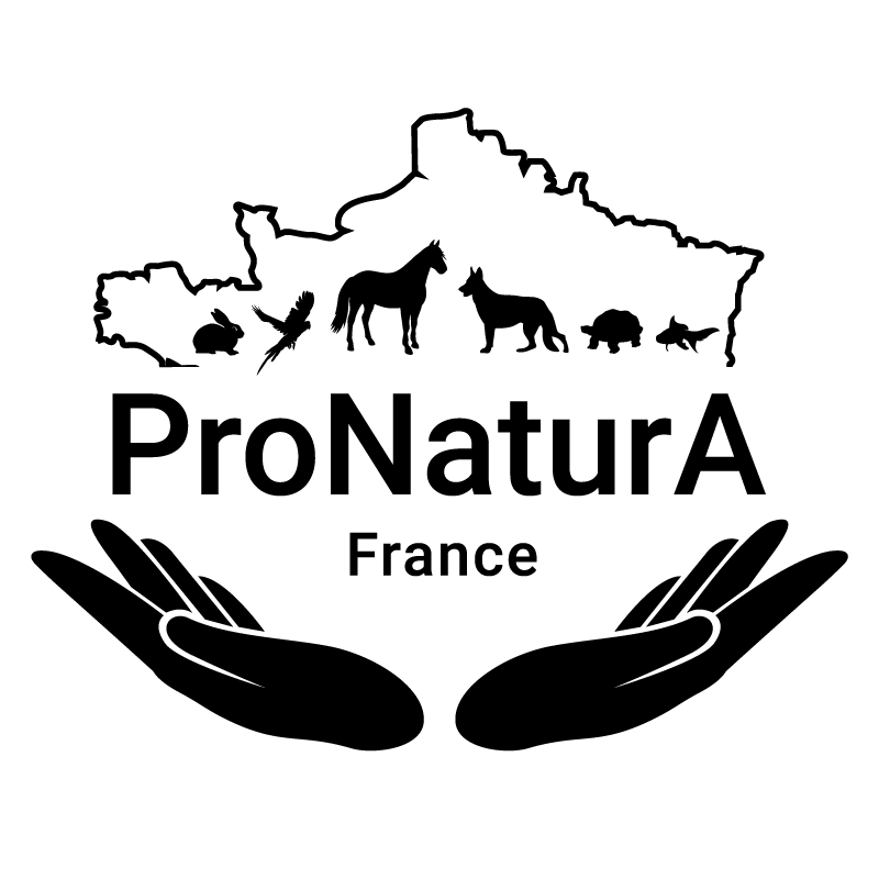 Logo france 128