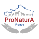Logo france 128