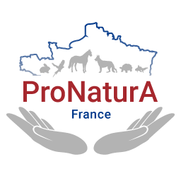 Logo france 256