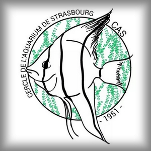 Strasbourg cercle
