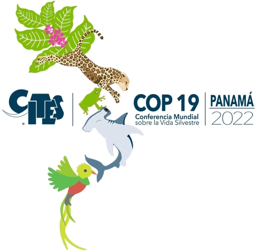 COP19