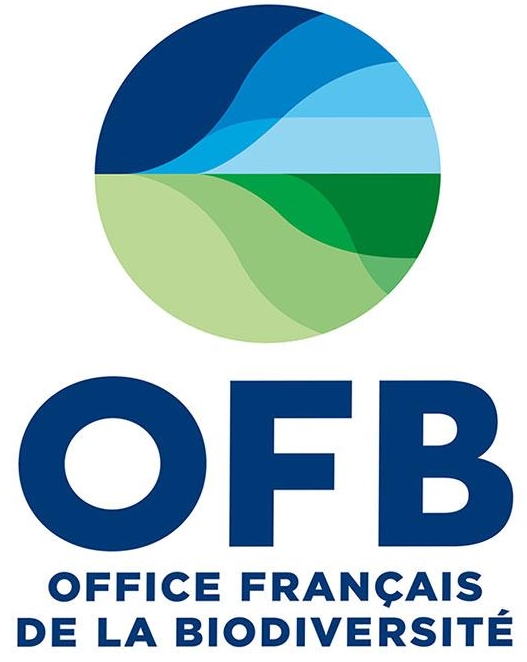 OFB