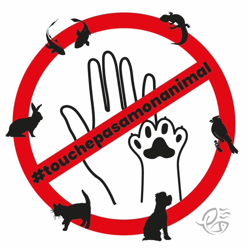 TouchePasAMonAnimal