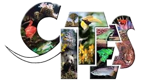 logo cites