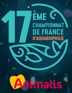 17 CFAnimalis