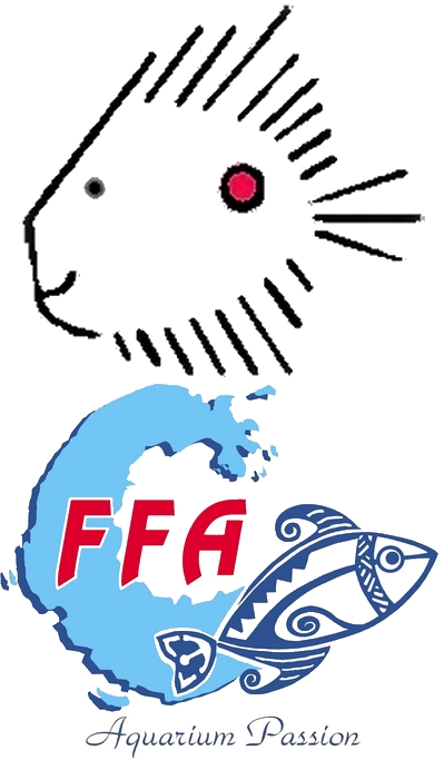 Logo congrès 2019