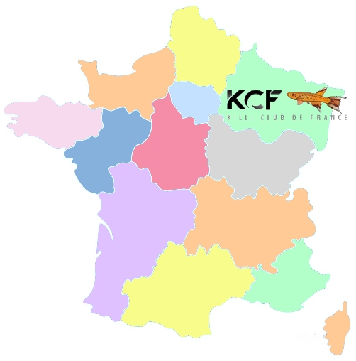 KCF est