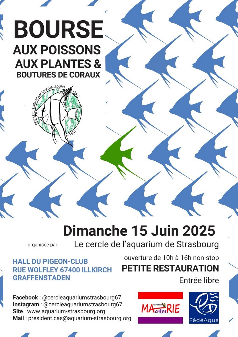 BourseCAS juin