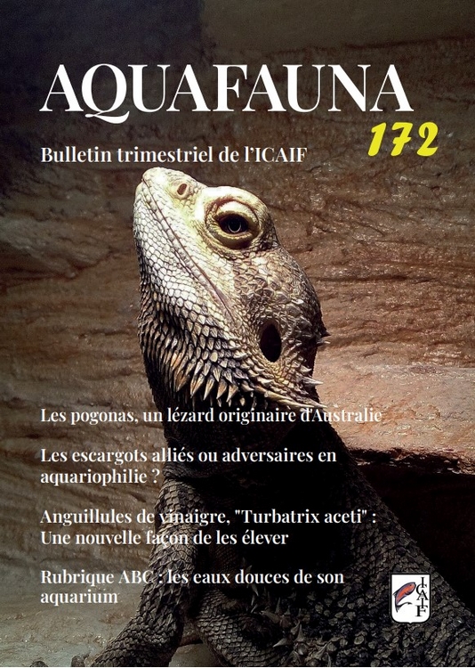 Aquafauna172