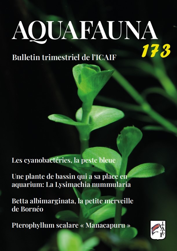 Aquafauna173