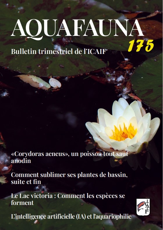 Aquafauna175