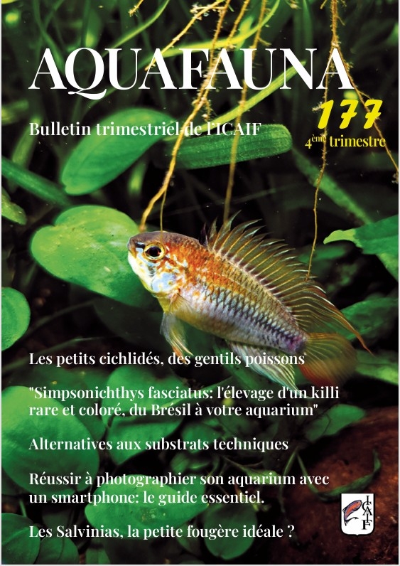 Aquafauna177
