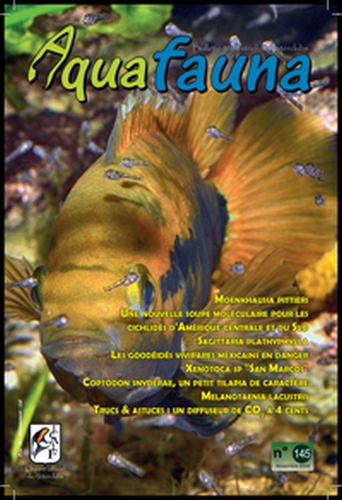 Aquafauna 145