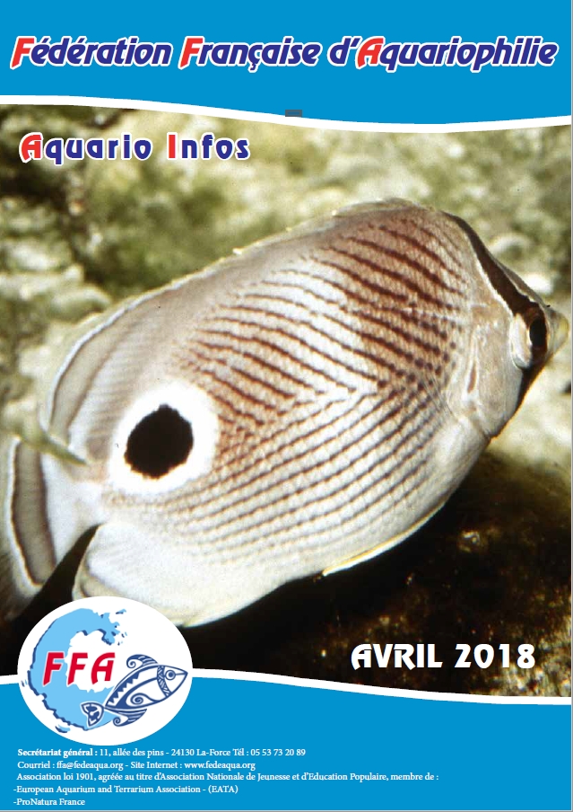 AI avril 18
