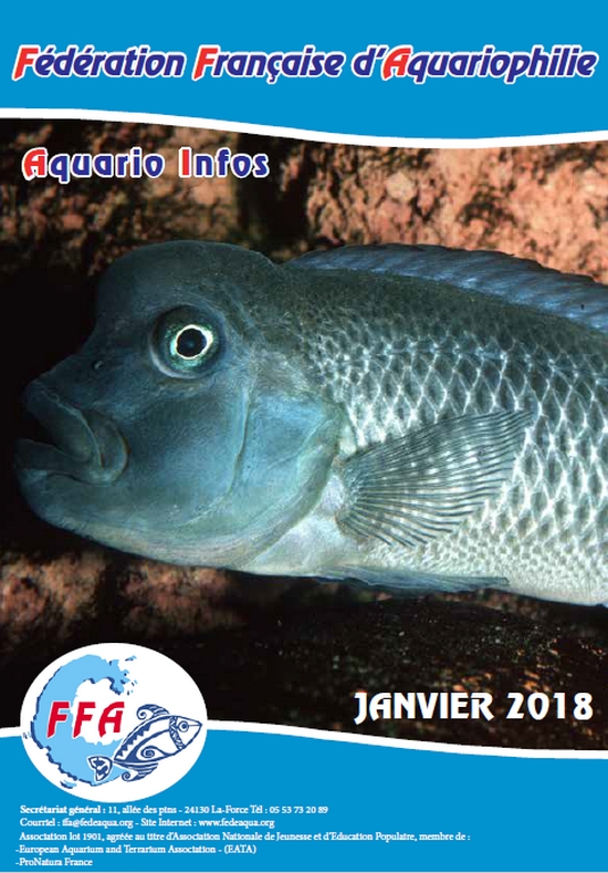 AI janvier 2018