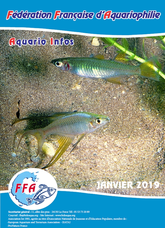AI janvier