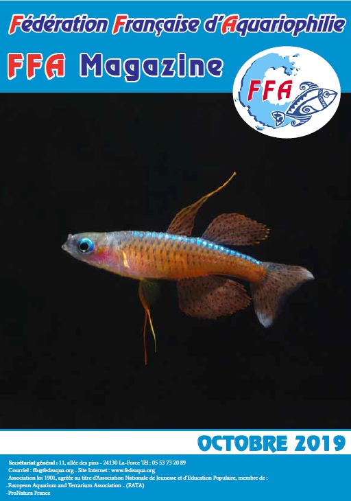 FFA Mag octobre 2019