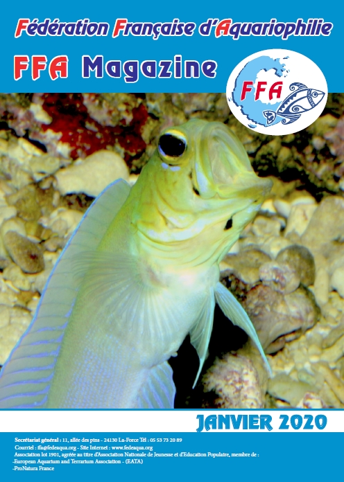 FFAMag 0120