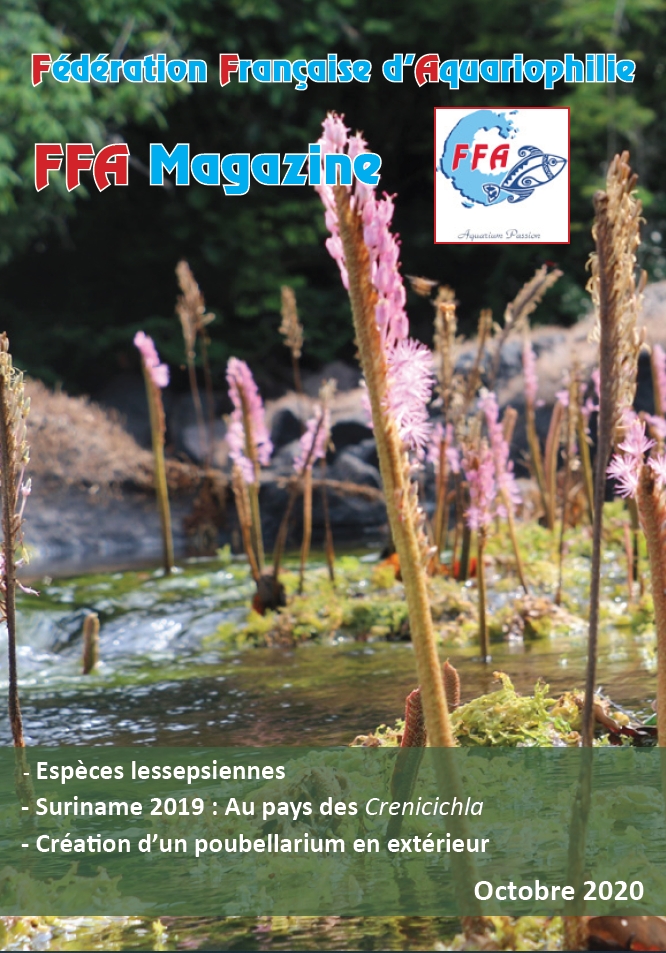 FFAMag 10 20