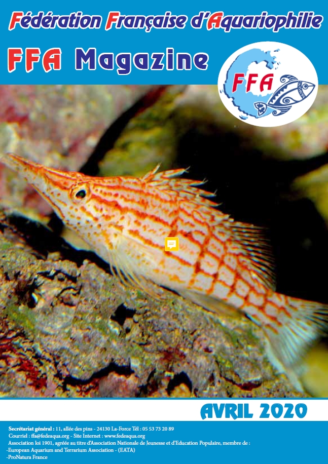 FFA Mag 0220