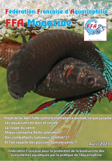 FFAMag avril 21