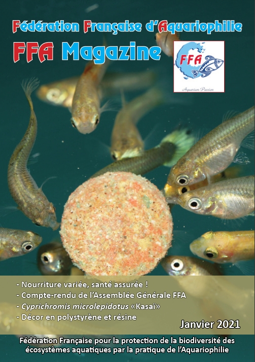 FFA Mag janvier
