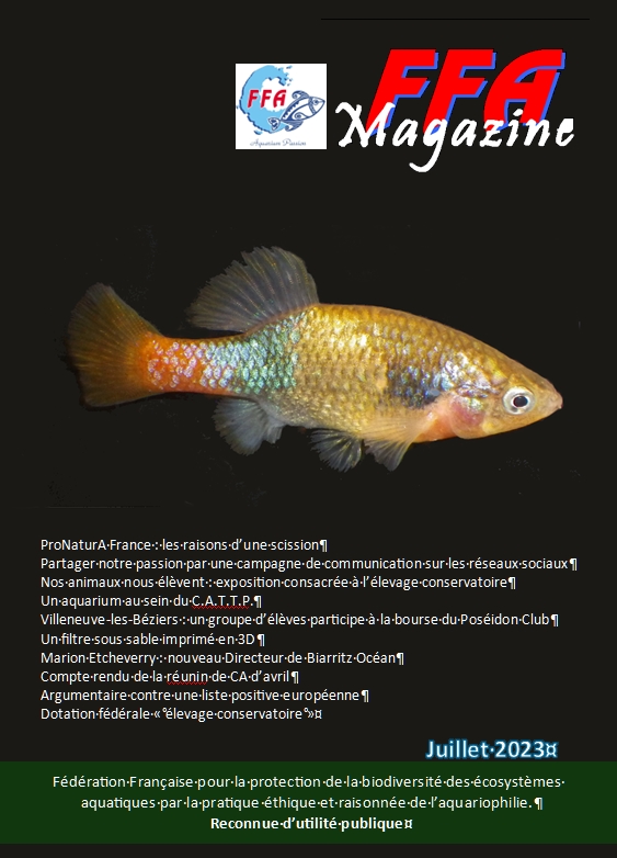 FFAMag07