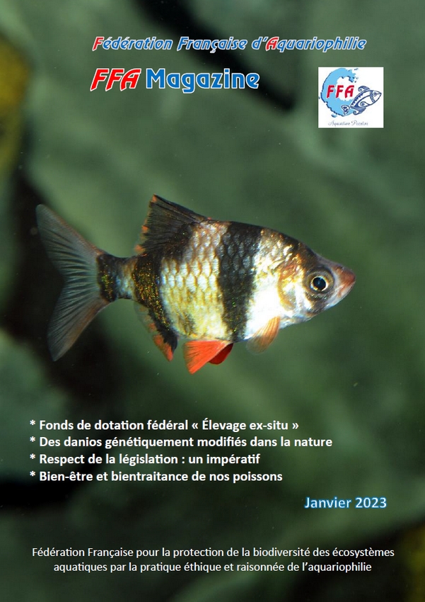 FFA Info 0123