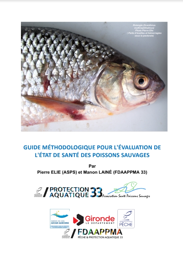 Pathologies poissons sauvages