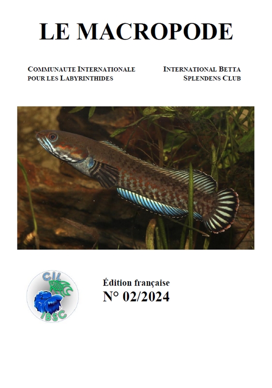 Macropode 02 24