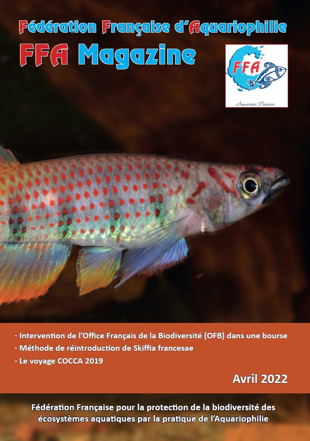 FFAMag0422