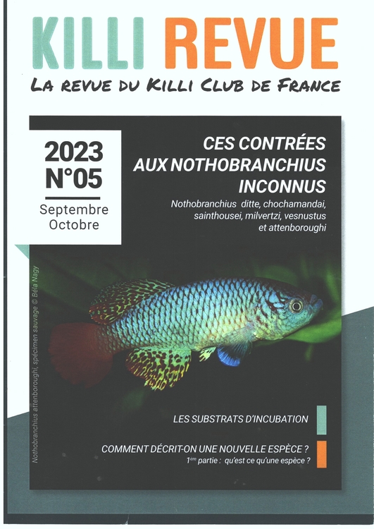 KR2023 09 10