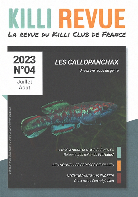 KR2023 4