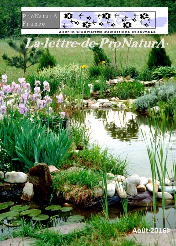 Couv Lettre PNA 2016 2